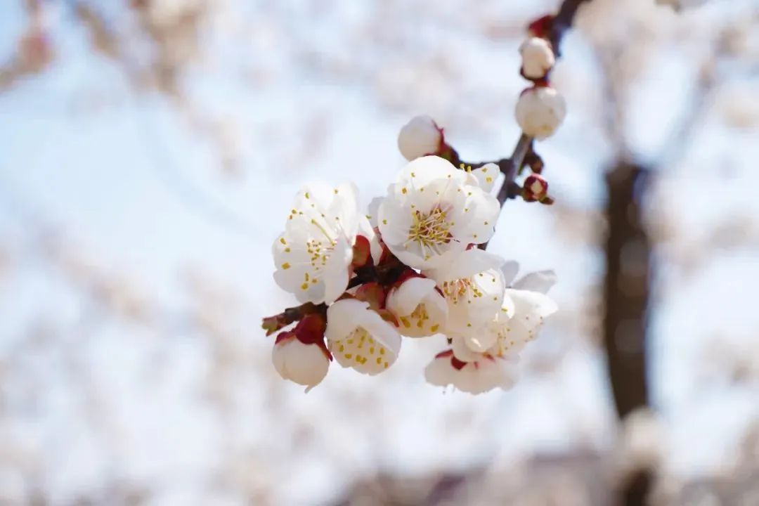a448df503fe2d2cf4658f9133fd6326f 首页 | J9集团有限公司官网